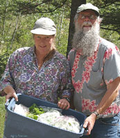 Box-a-week vegetable deliveries