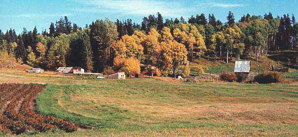 We are blessed with a beautiful setting for our farm-house and land.